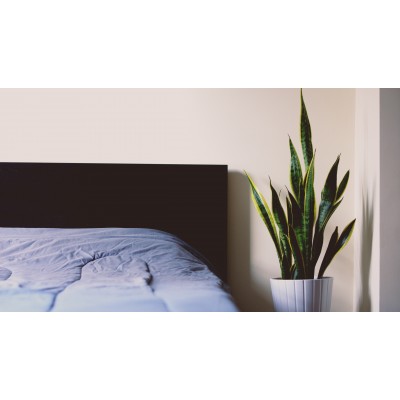 SKY BLUE BED LINEN SET (2 pillowcases, bed sheet, duvet cover) SKY BLUE BED LINEN SET (2 pillowcases, bed sheet, duvet cover)